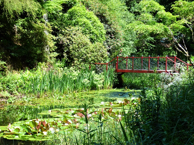 His True Love #writephoto